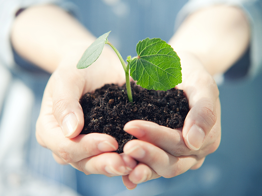 環(huán)境保護(hù)